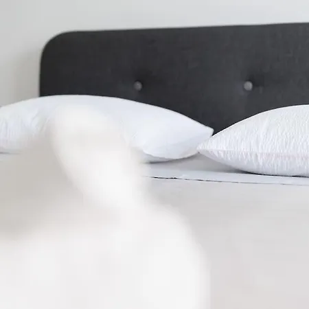 公寓 Dominicus 扎达尔