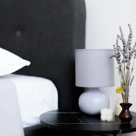 公寓 Dominicus 扎达尔